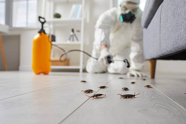 Trusted Cockroach Control service in Garden Home-Whitford, OR - Nex Pest Control
